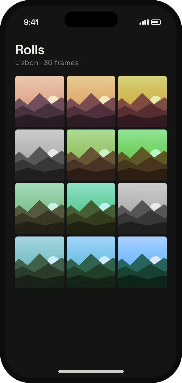 Roll view showing a grid of edited frames